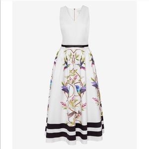Ted baker hummingbird high grove midi dress